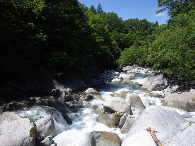 IMGP0520_R