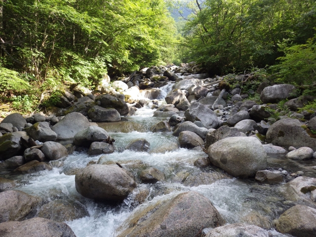 IMGP0534_R