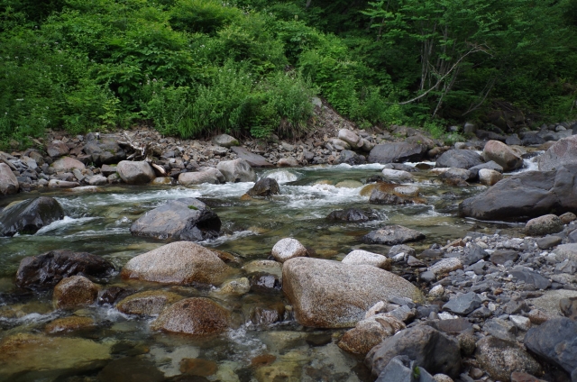 IMGP0067_R