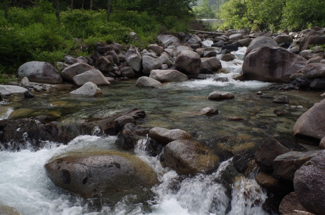 IMGP0099_R