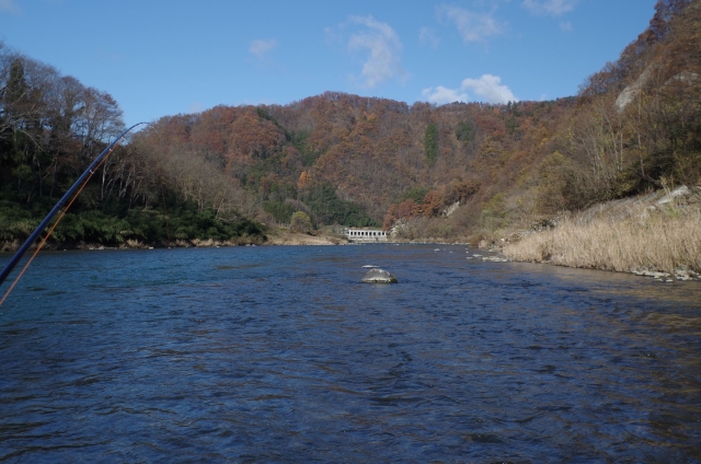 IMGP0002_R