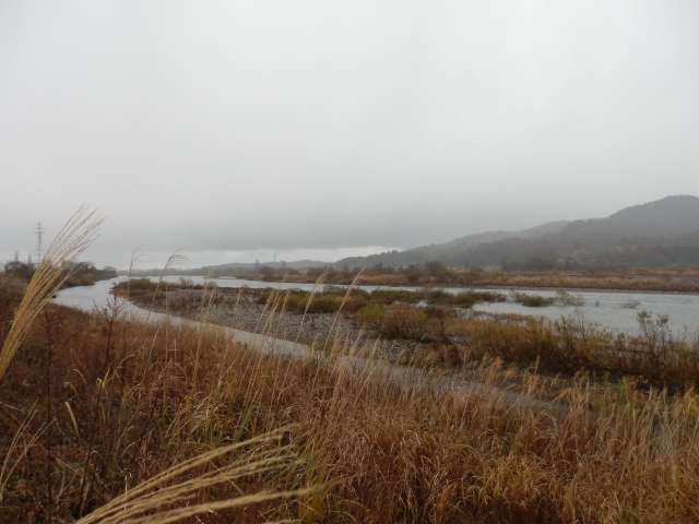 PC070585_R