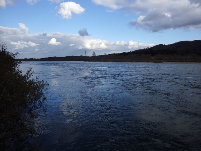 IMGP0862_R
