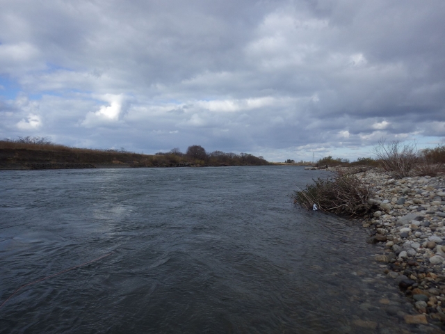 IMGP0869_R