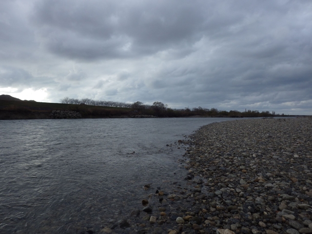 IMGP0873_R