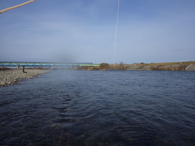IMGP0880_R