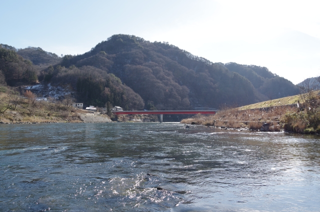 IMGP0005