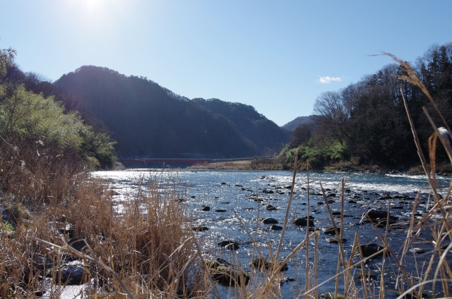 IMGP0001_R