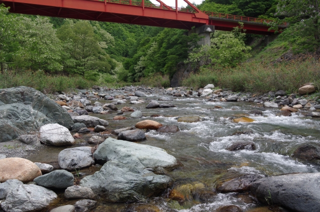 IMGP0014_S