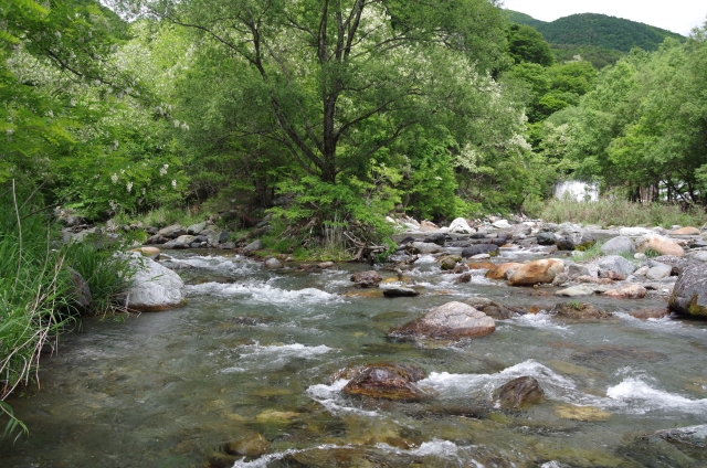 IMGP0057_S