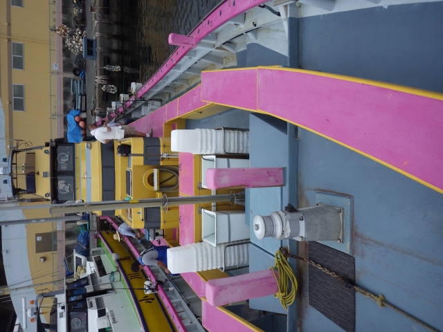 IMGP0990_S