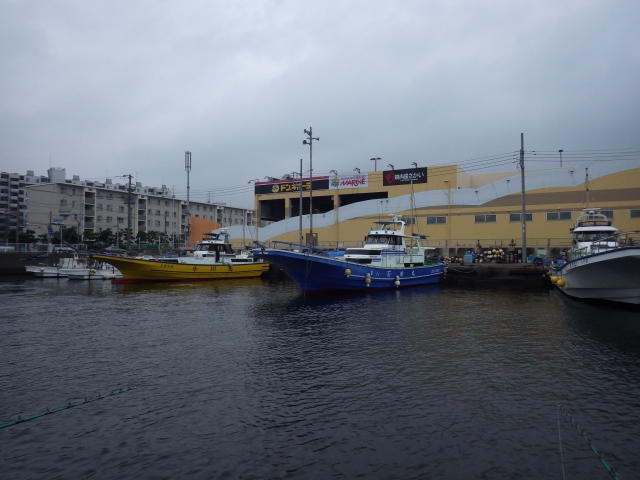 IMGP0998_S
