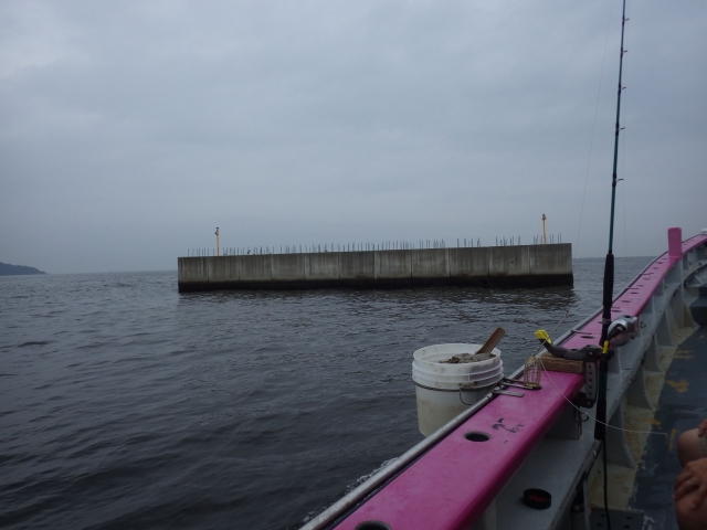 IMGP0999_S