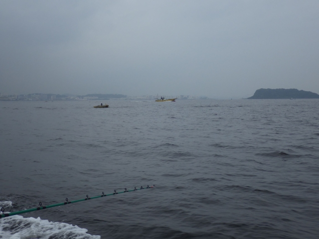 IMGP1005_S