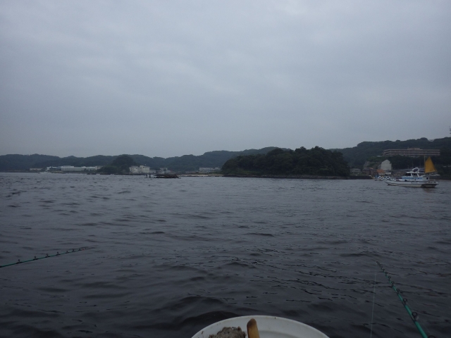 IMGP1011_S