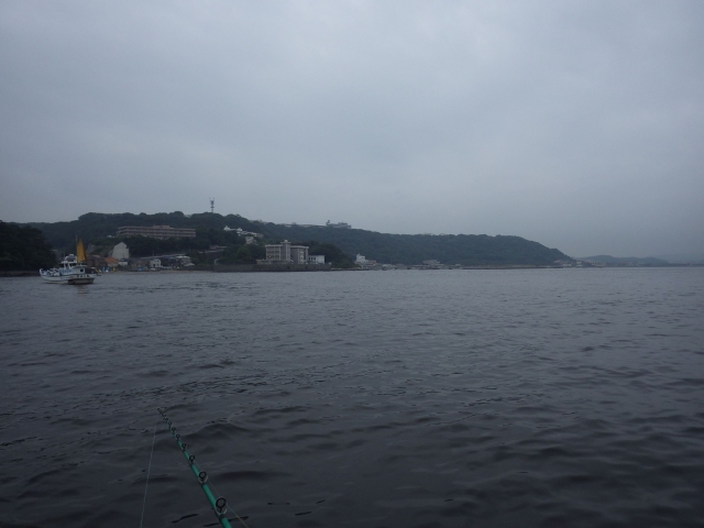 IMGP1012_S