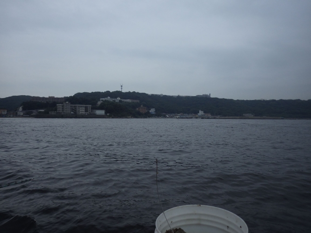 IMGP1024_S