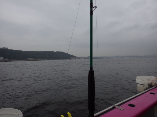 IMGP1025_S