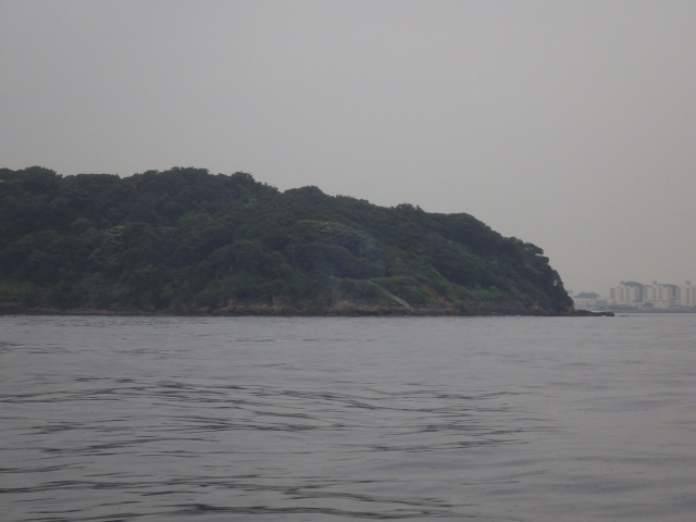 IMGP1028_S