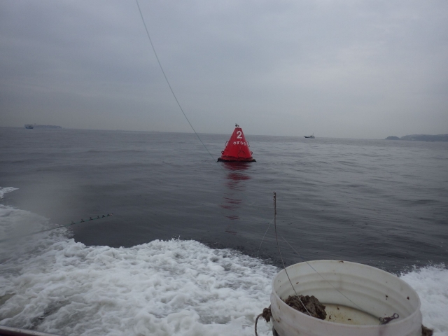 IMGP1029_S