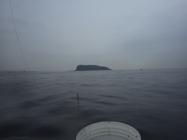 IMGP1031_S
