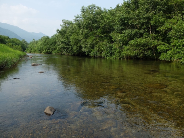 DSCF0538_S