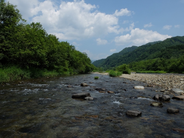 DSCF0595_S