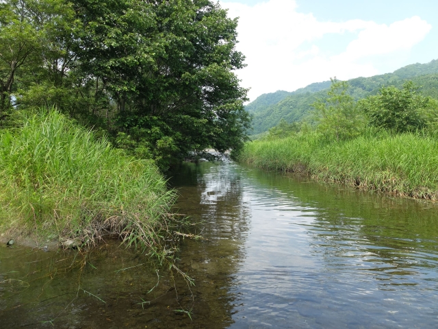 DSCF0609_S