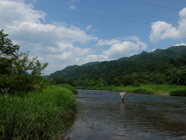 DSCF0620_S