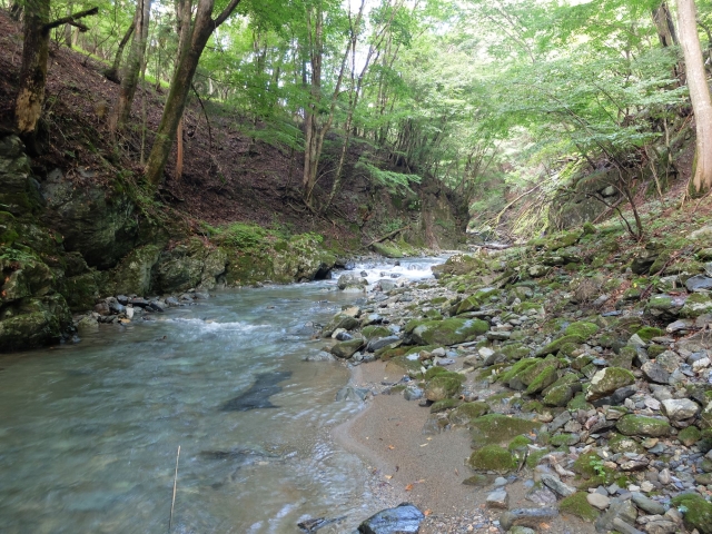 DSCF0754_S