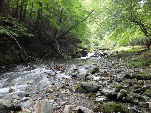 DSCF0764_S