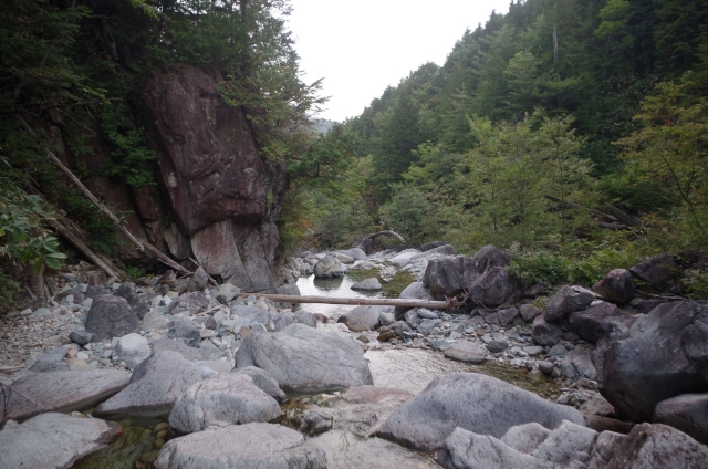 IMGP0048_S
