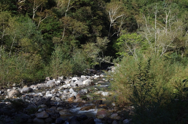 IMGP0007_S
