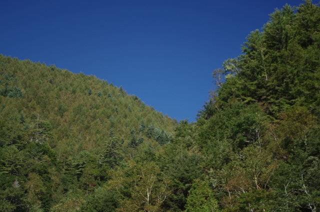 IMGP0017_S