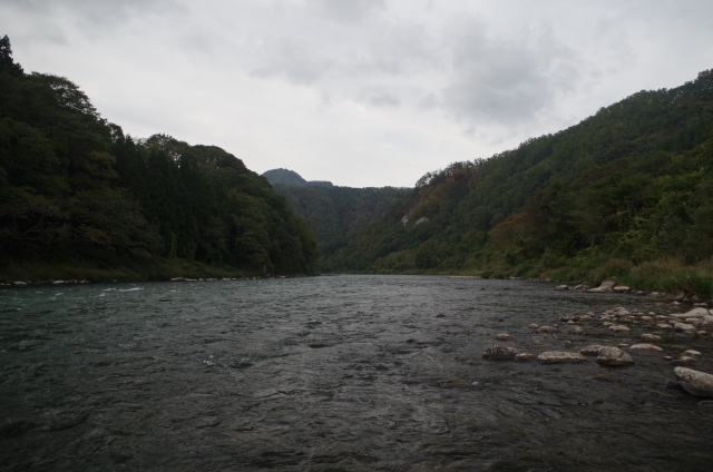 IMGP0012