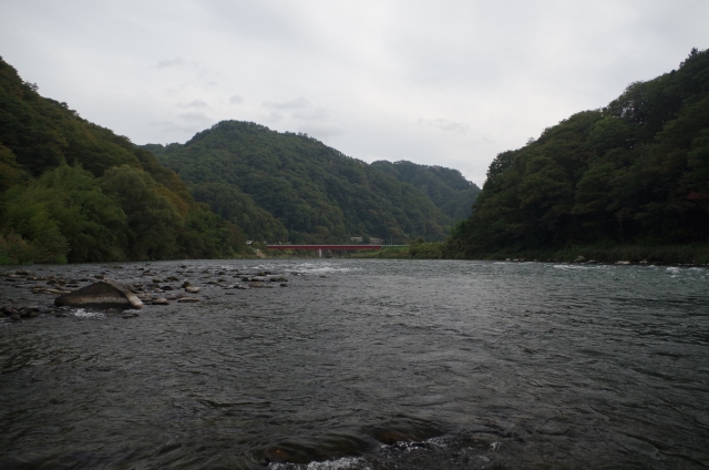 IMGP0013
