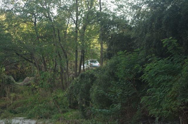 IMGP0049