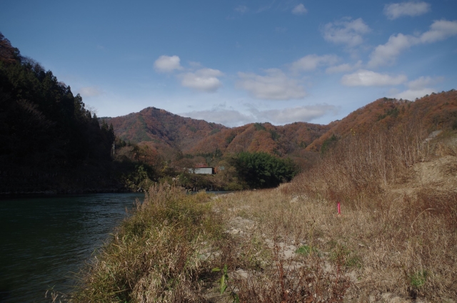 IMGP0015