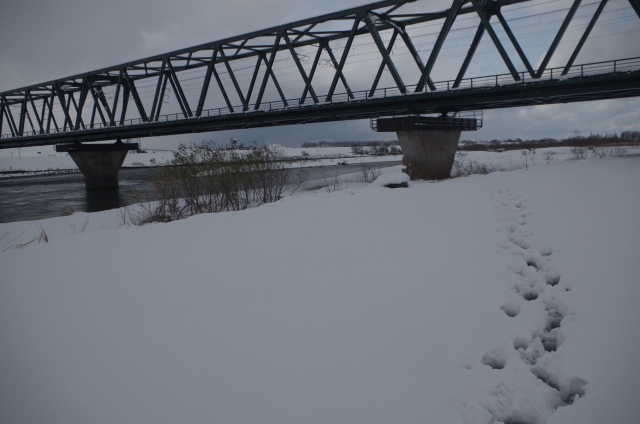 IMGP0005