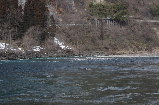 IMGP0005