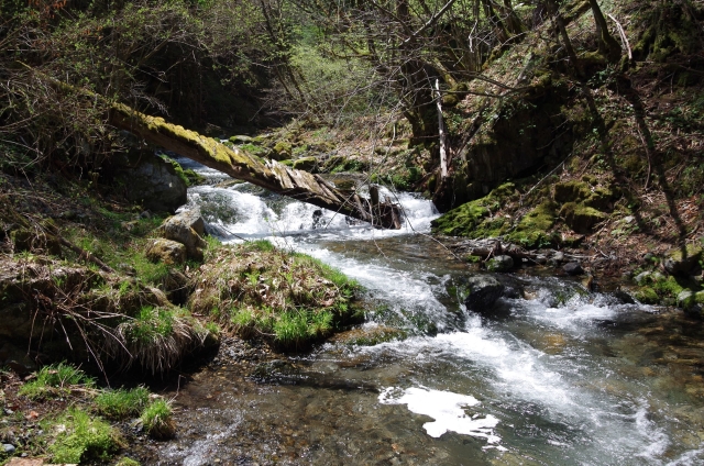 IMGP0016_S