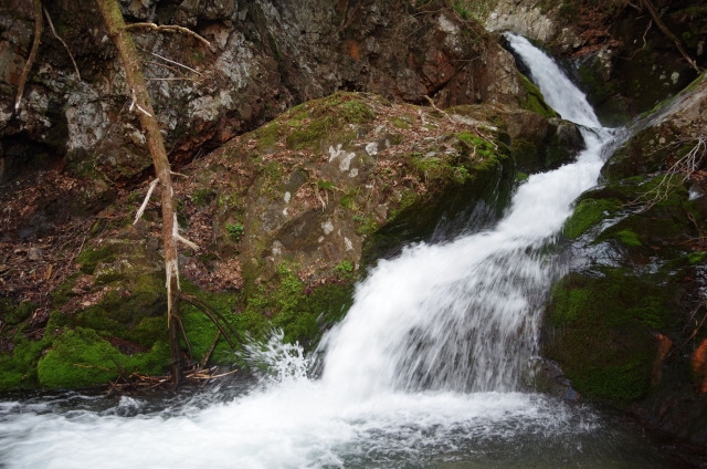 IMGP0037_S