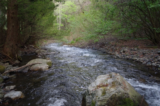 IMGP0040_S