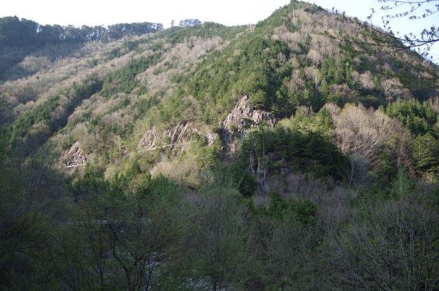 IMGP0073_S