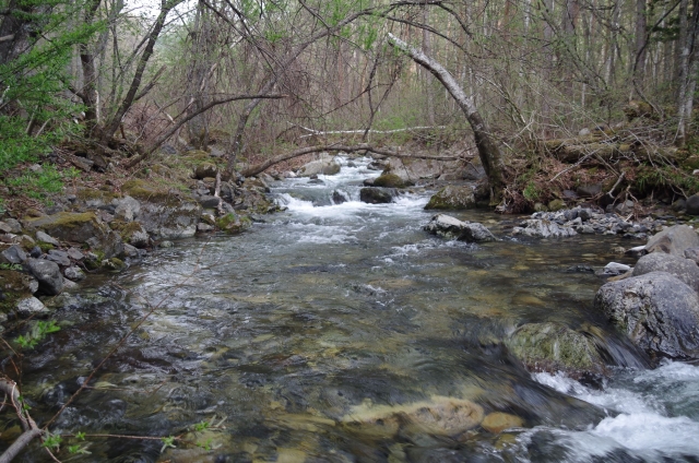IMGP0019_S