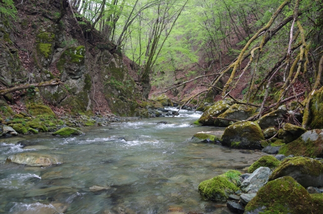 IMGP0002_S