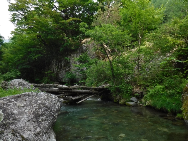 DSCF0112_S