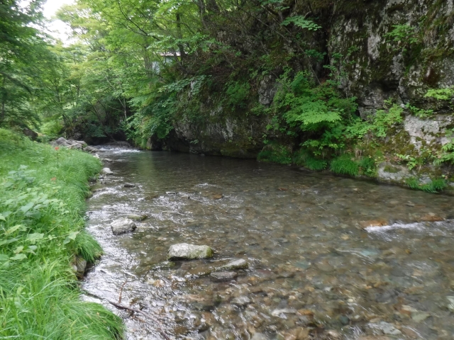 DSCF0113_S