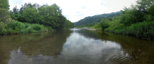 DSCF1294_stitch_S