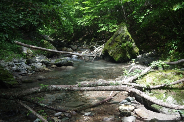 IMGP0022_S